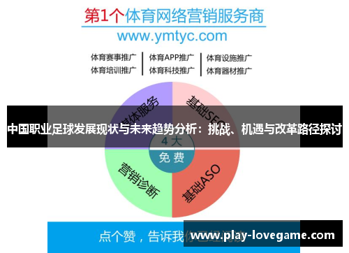 中国职业足球发展现状与未来趋势分析：挑战、机遇与改革路径探讨